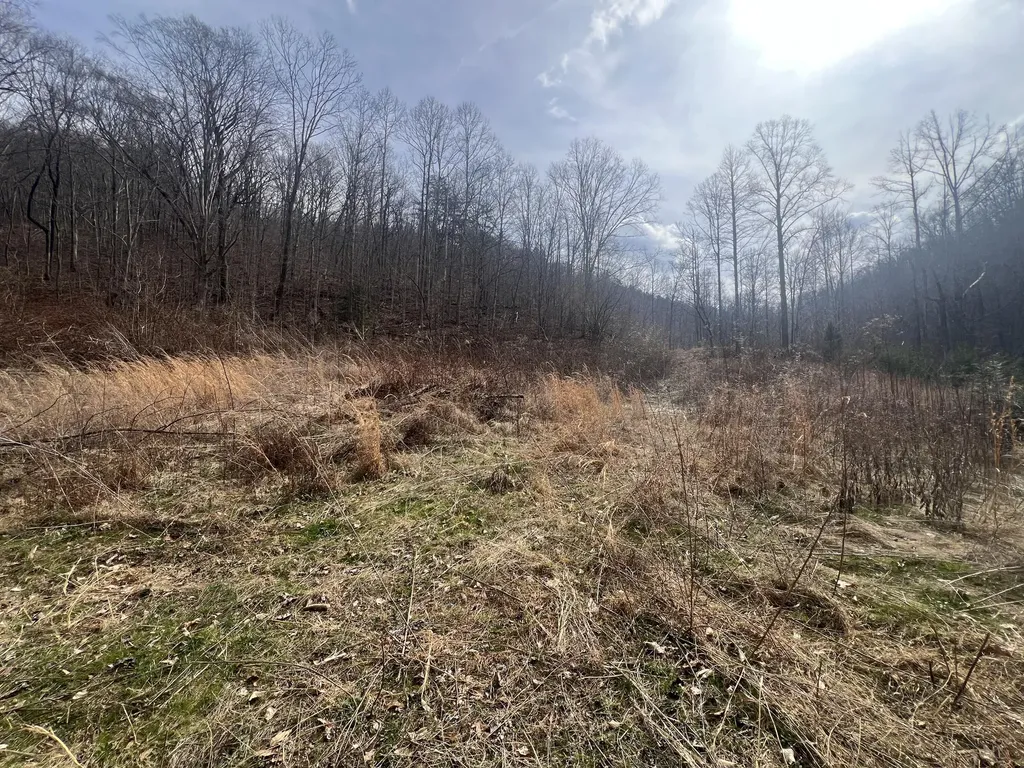 1470 Hopkins Fork Pikeville KY 41501