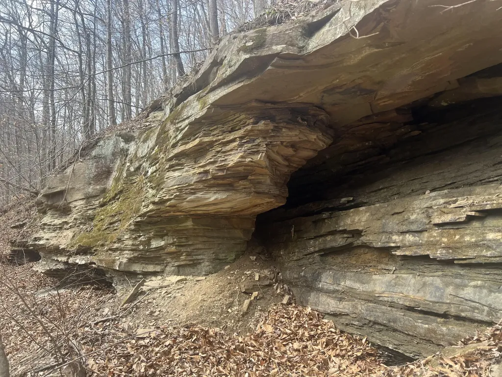 1470 Hopkins Fork Pikeville KY 41501