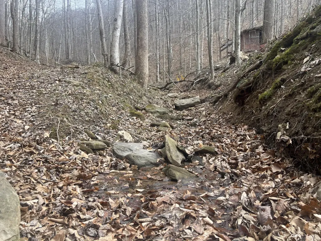 1470 Hopkins Fork Pikeville KY 41501
