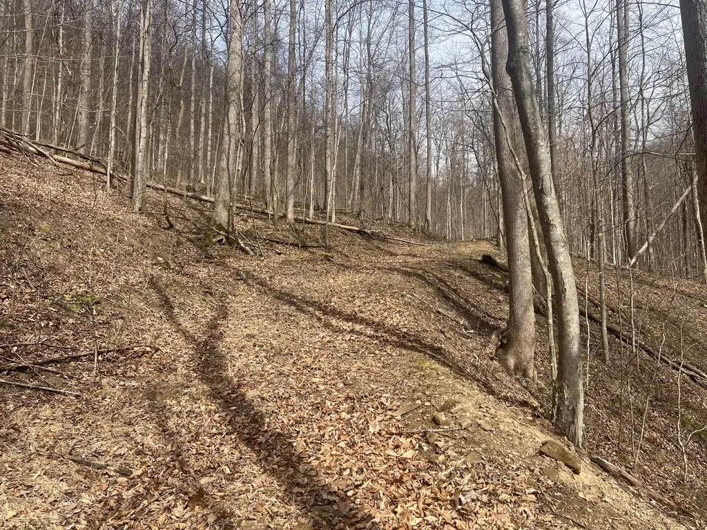 1470 Hopkins Fork Pikeville KY 41501