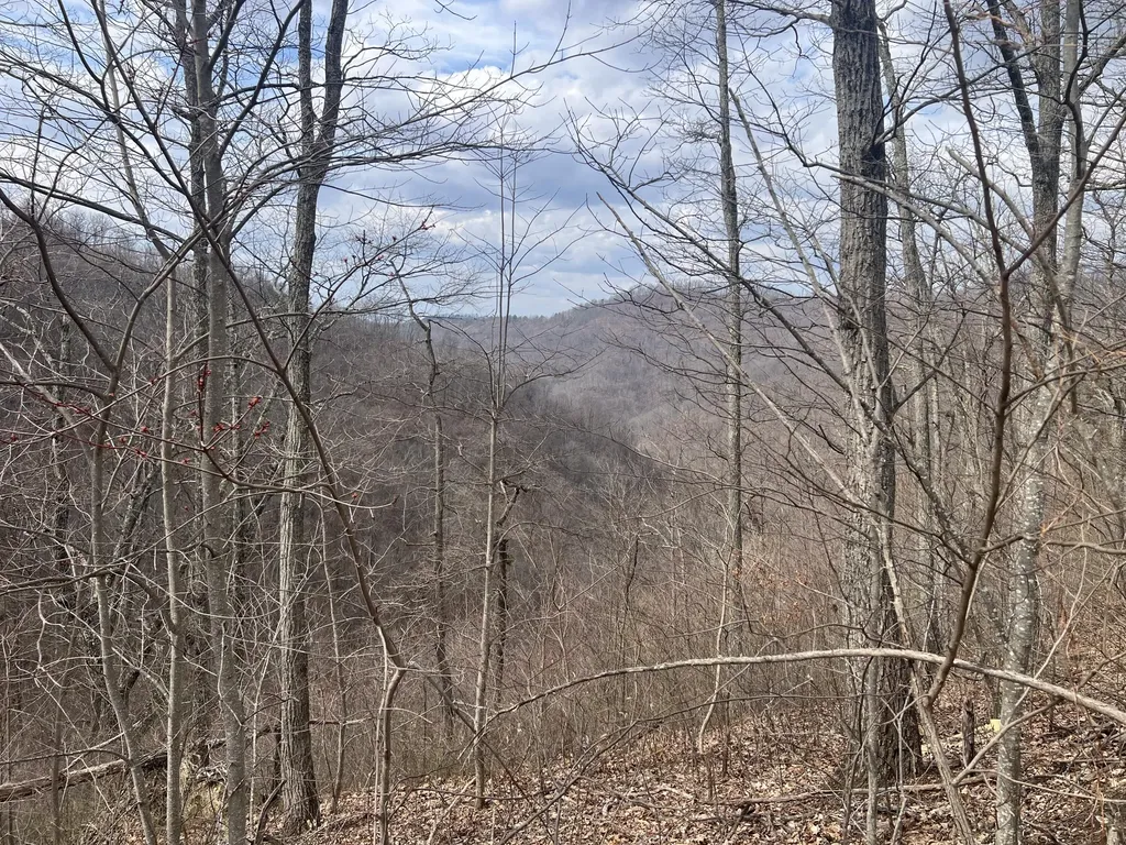 1470 Hopkins Fork Pikeville KY 41501