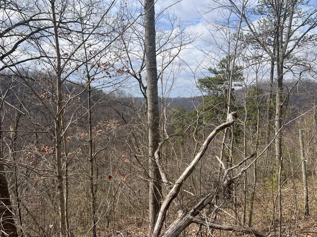 1470 Hopkins Fork Pikeville KY 41501