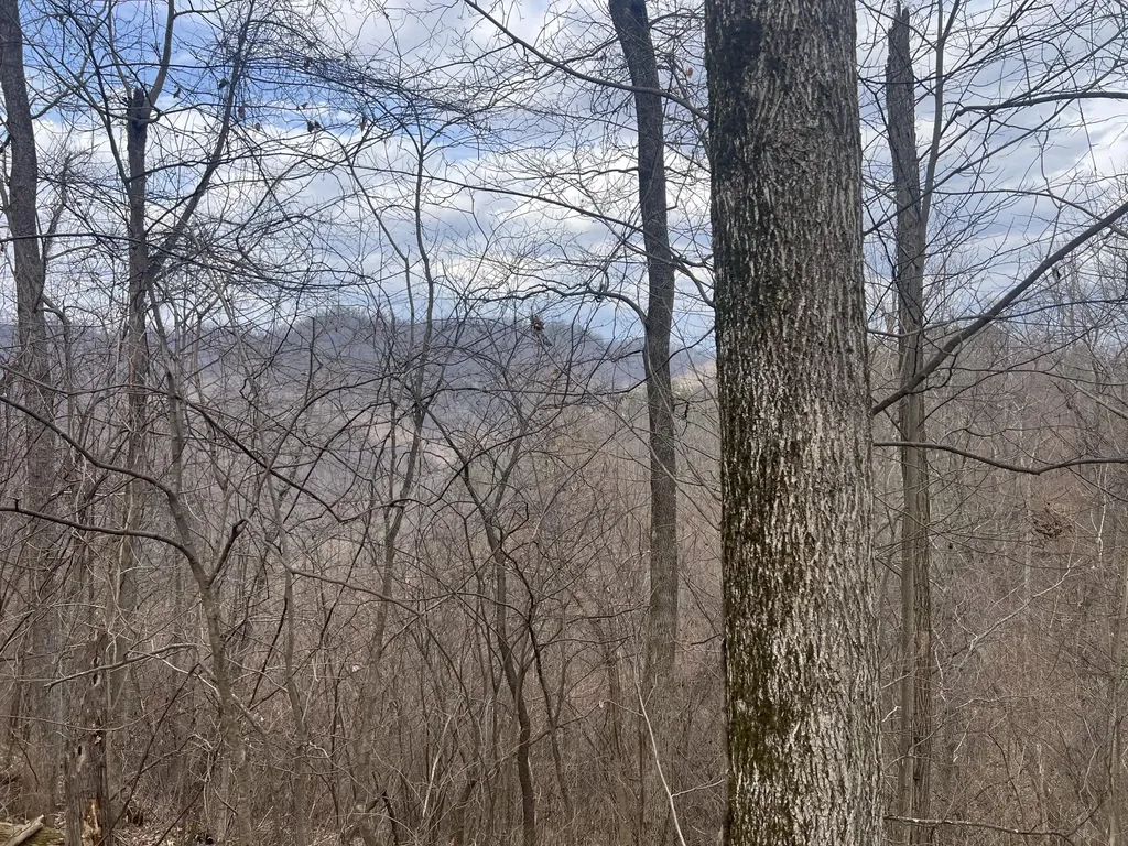 1470 Hopkins Fork Pikeville KY 41501