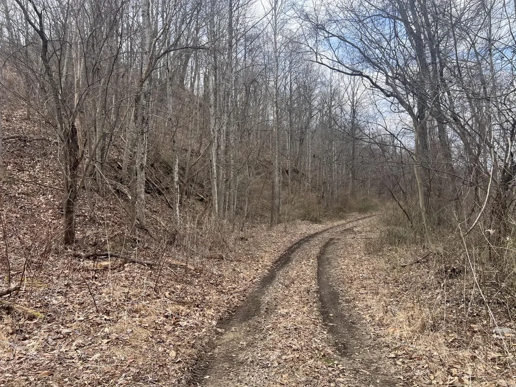 1470 Hopkins Fork Pikeville KY 41501