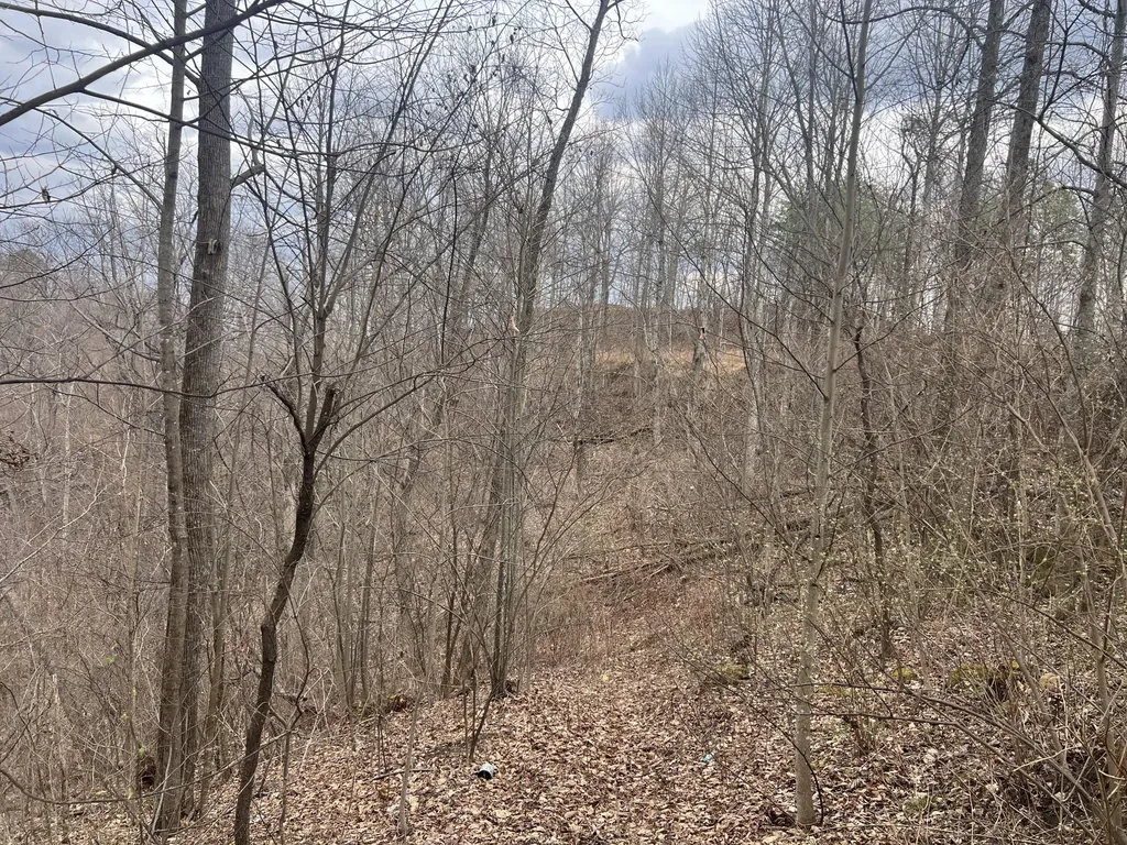 1470 Hopkins Fork Pikeville KY 41501