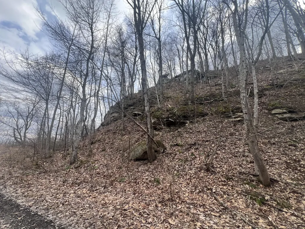 1470 Hopkins Fork Pikeville KY 41501