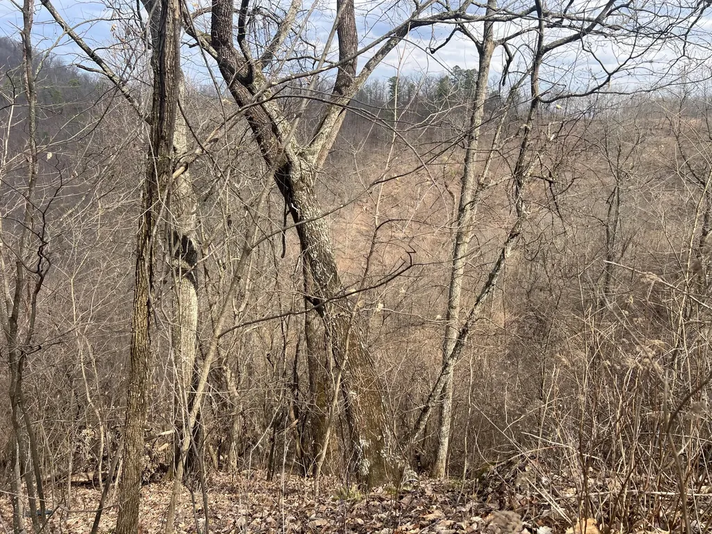 1470 Hopkins Fork Pikeville KY 41501