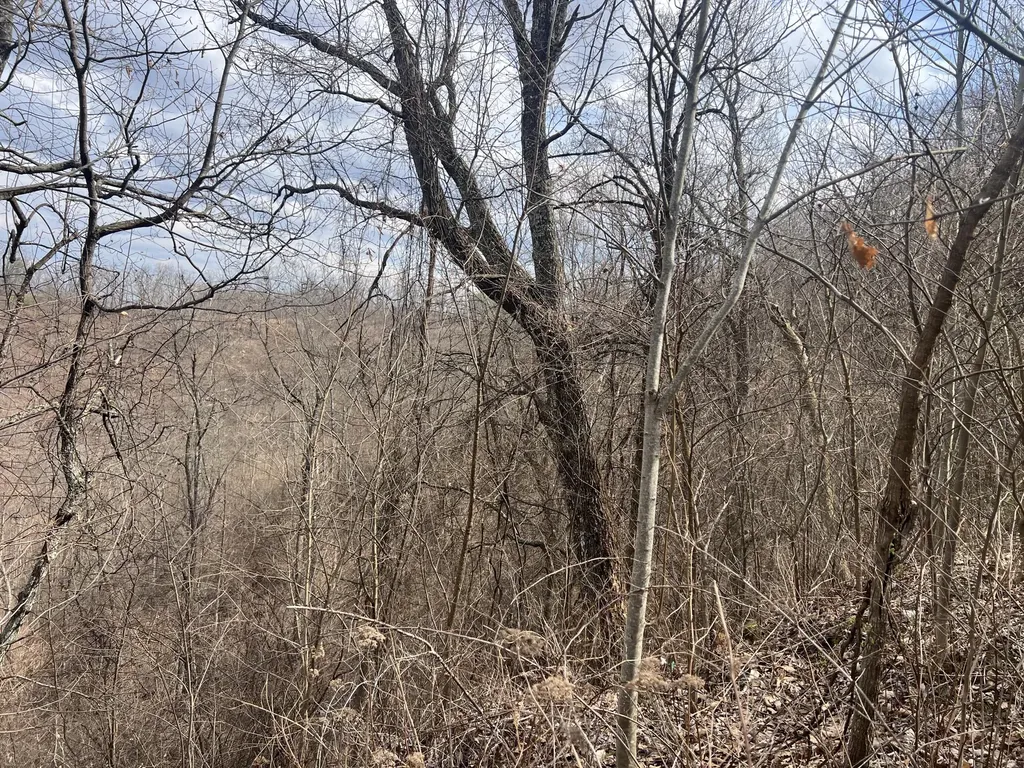 1470 Hopkins Fork Pikeville KY 41501