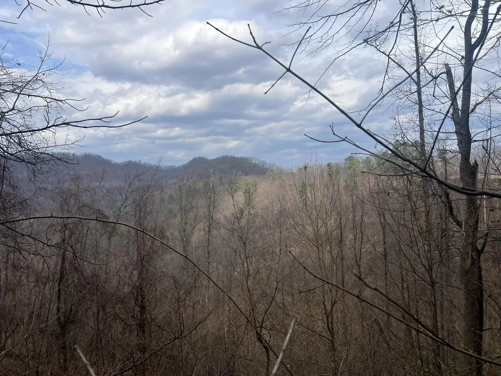 1470 Hopkins Fork Pikeville KY 41501
