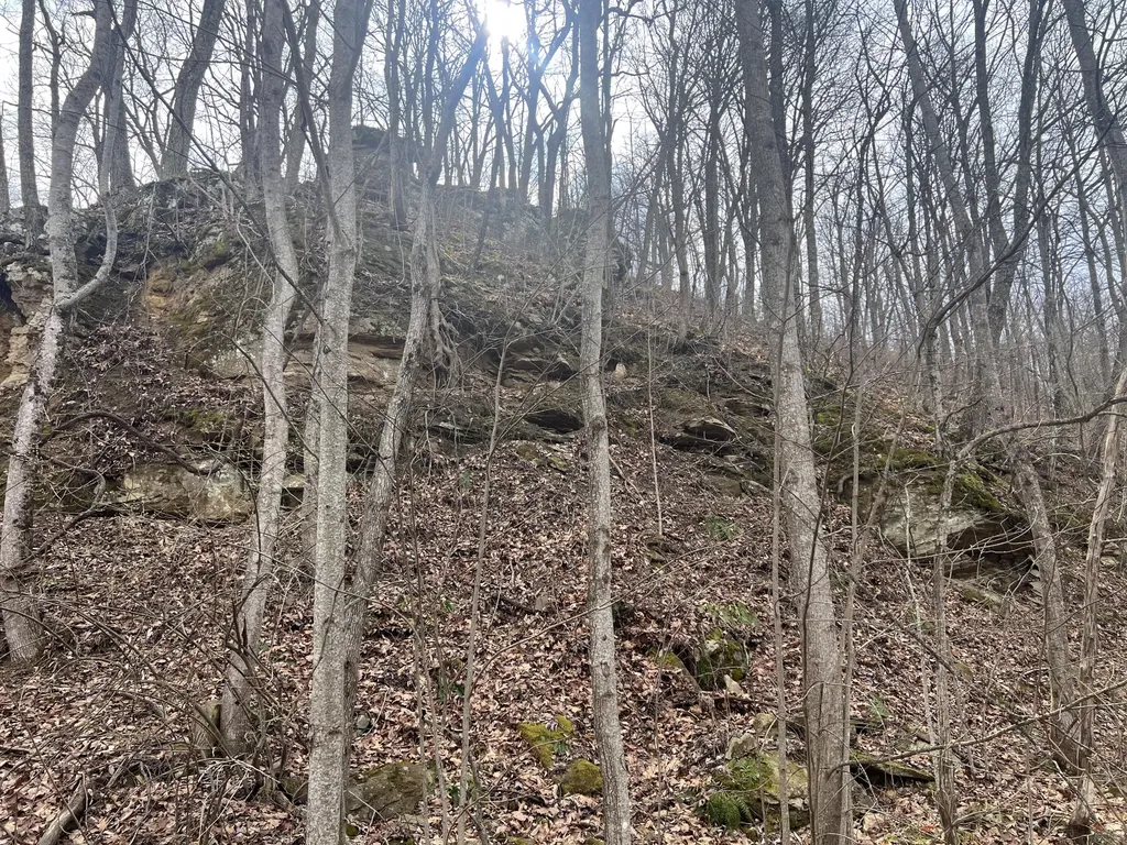 1470 Hopkins Fork Pikeville KY 41501