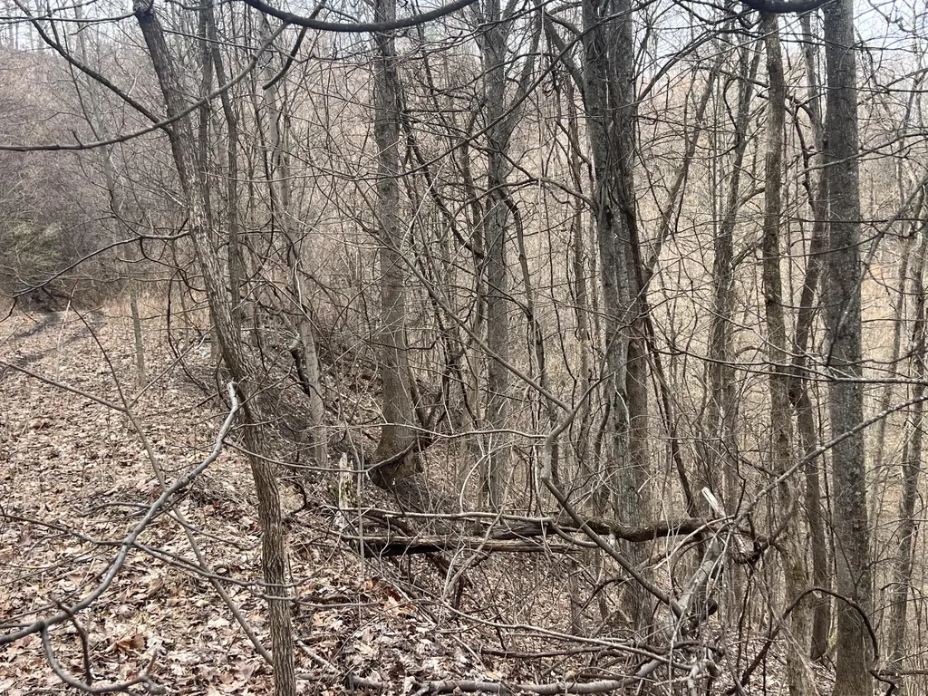 1470 Hopkins Fork Pikeville KY 41501