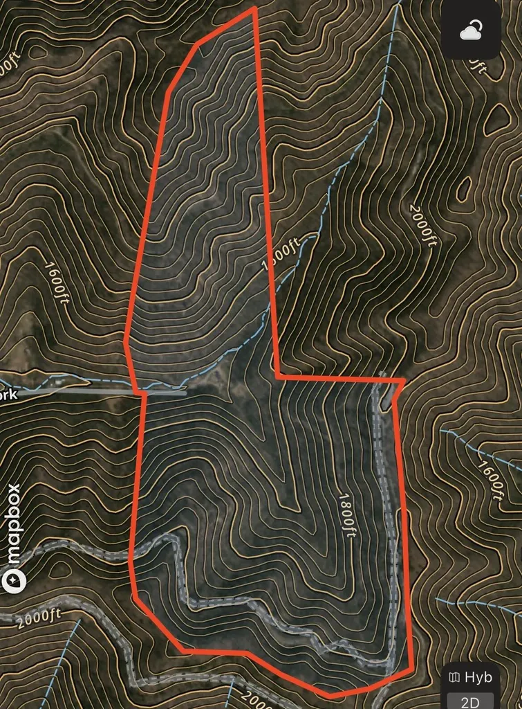 1470 Hopkins Fork Pikeville KY 41501