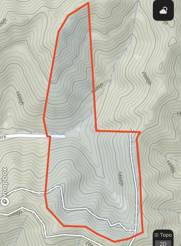 1470 Hopkins Fork Pikeville KY 41501