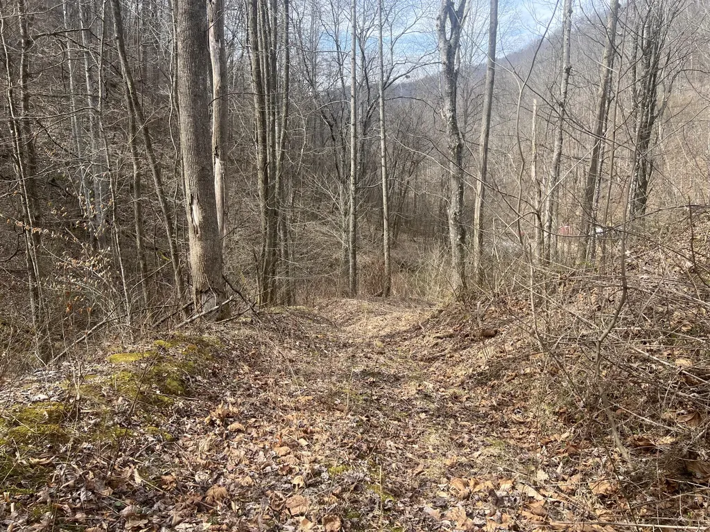 1470 Hopkins Fork Pikeville KY 41501