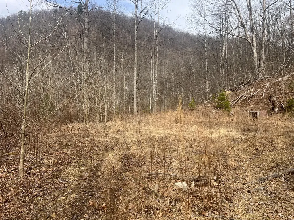 1470 Hopkins Fork Pikeville KY 41501