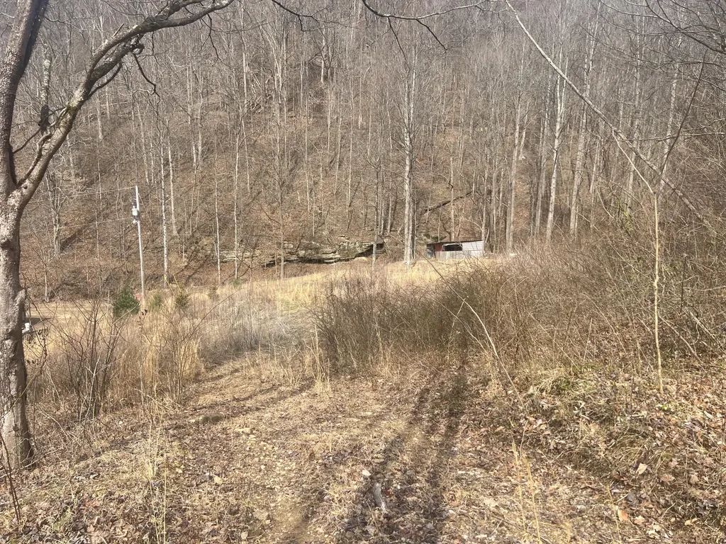 1470 Hopkins Fork Pikeville KY 41501