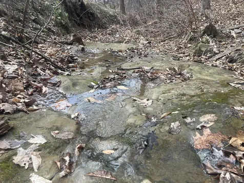 1470 Hopkins Fork Pikeville KY 41501