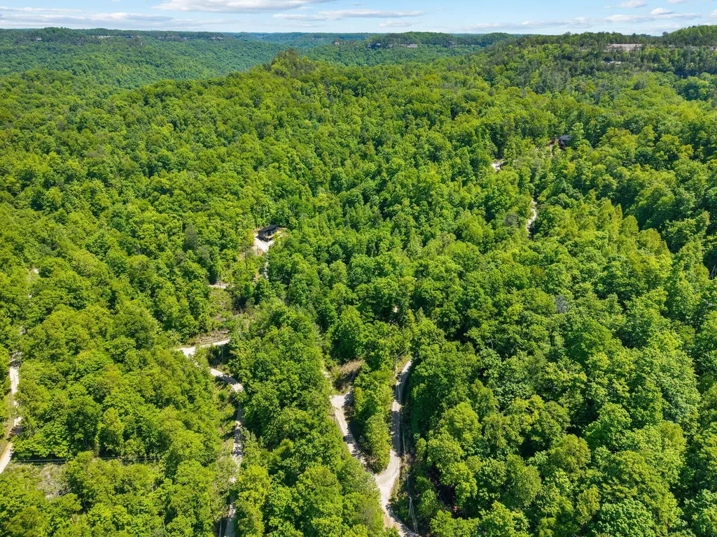 99 Aider Court Stanton KY 40380