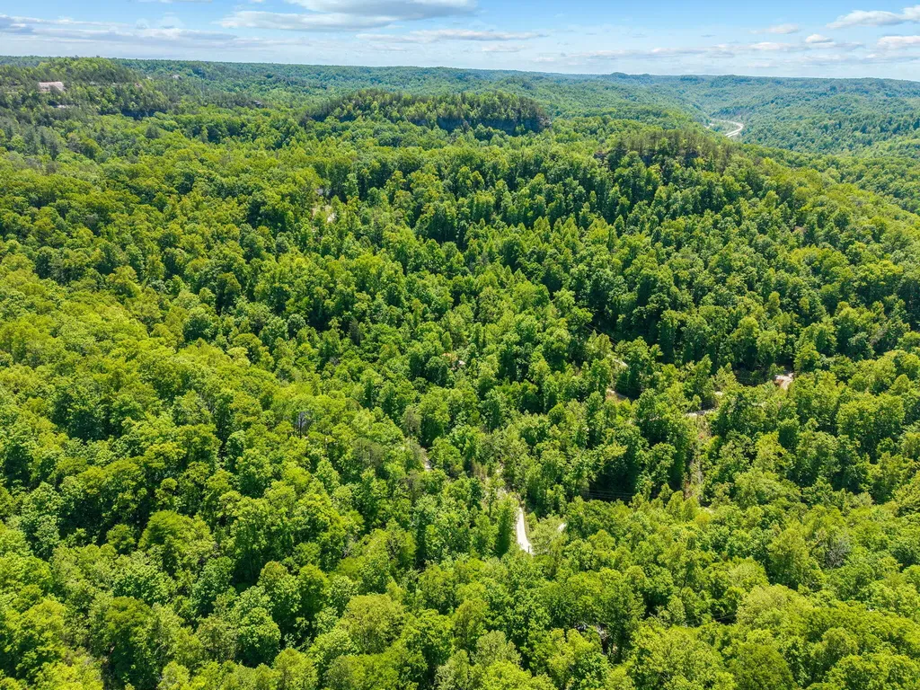 99 Aider Court Stanton KY 40380