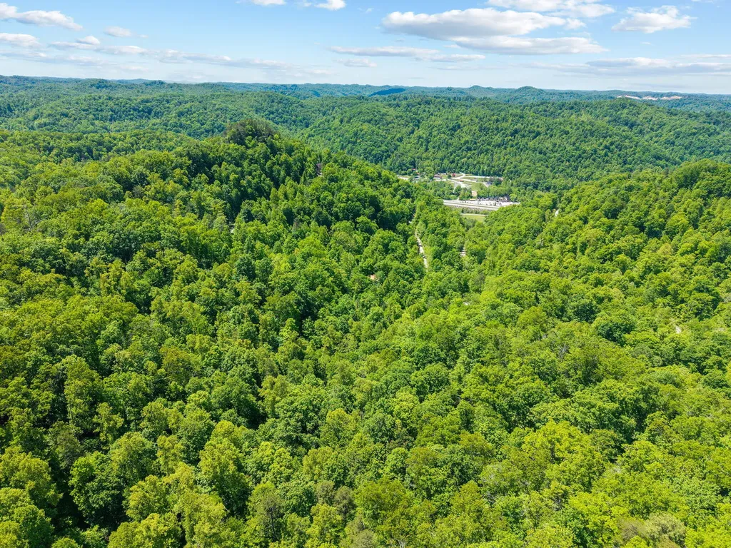 99 Aider Court Stanton KY 40380