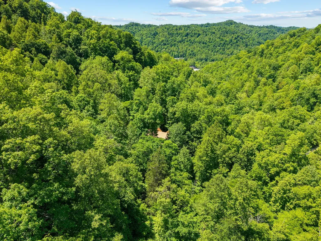 99 Aider Court Stanton KY 40380