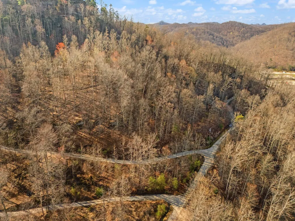 99 Aider Court Stanton KY 40380