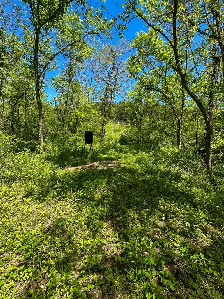 1376 Neave-milford Road Falmouth KY 41040