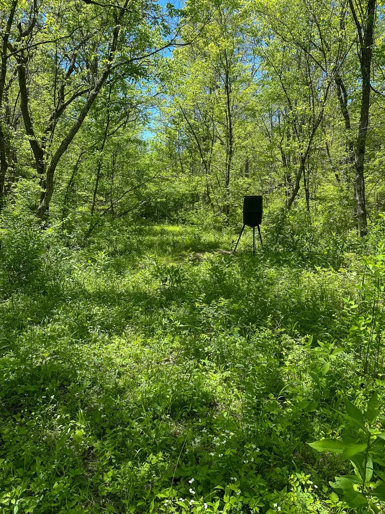 1376 Neave-milford Road Falmouth KY 41040