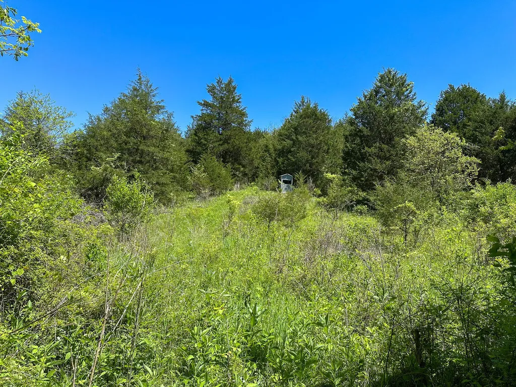 1376 Neave-milford Road Falmouth KY 41040
