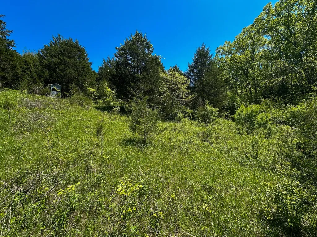 1376 Neave-milford Road Falmouth KY 41040
