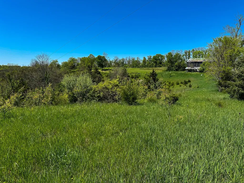 1376 Neave-milford Road Falmouth KY 41040