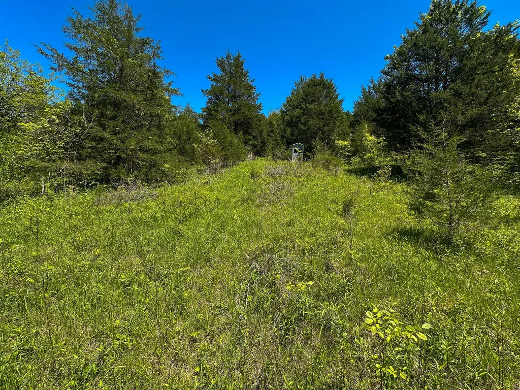 1376 Neave-milford Road Falmouth KY 41040