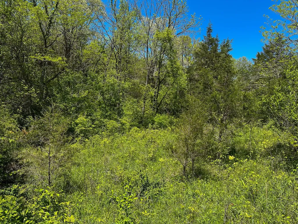 1376 Neave-milford Road Falmouth KY 41040