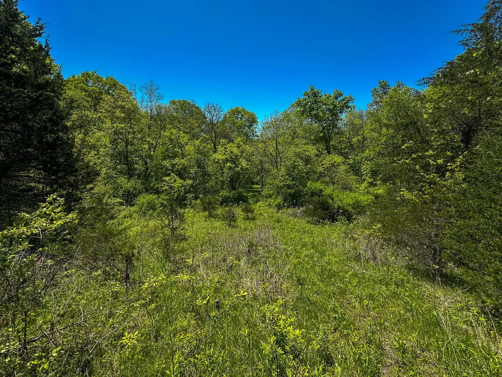1376 Neave-milford Road Falmouth KY 41040