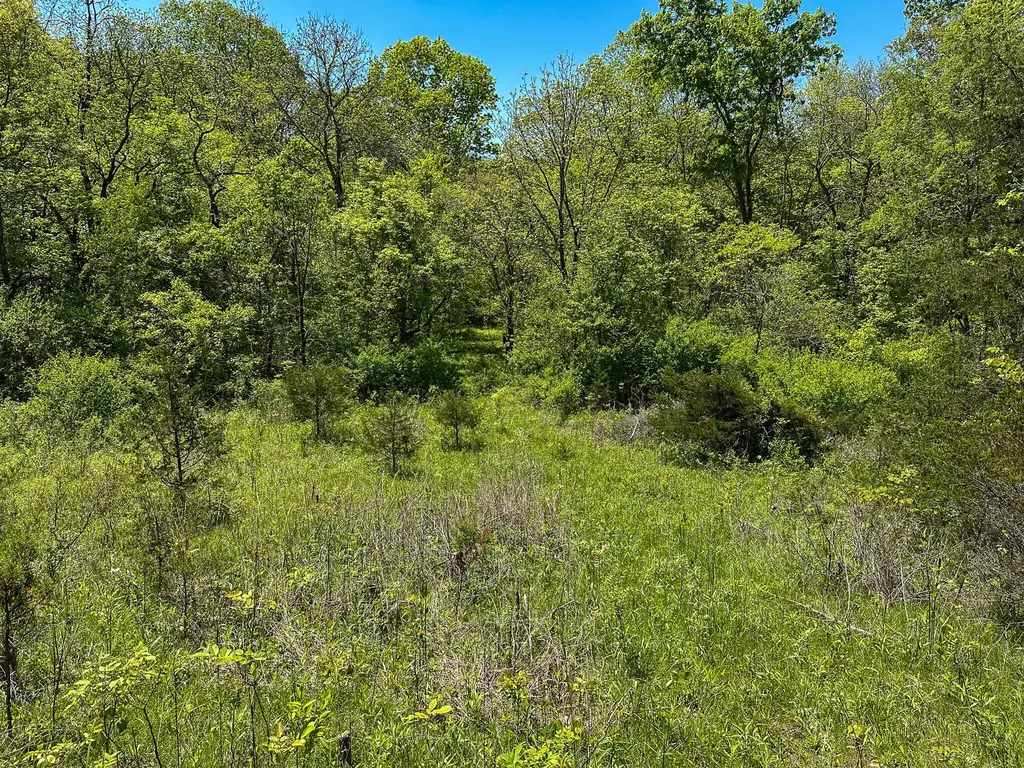 1376 Neave-milford Road Falmouth KY 41040