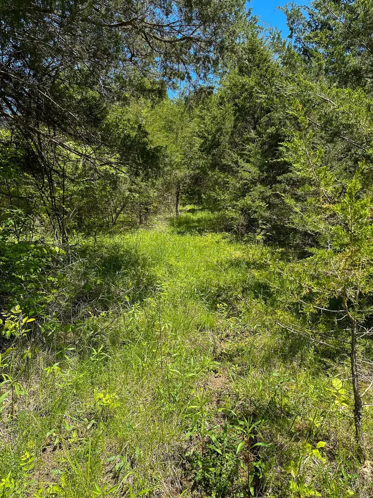 1376 Neave-milford Road Falmouth KY 41040