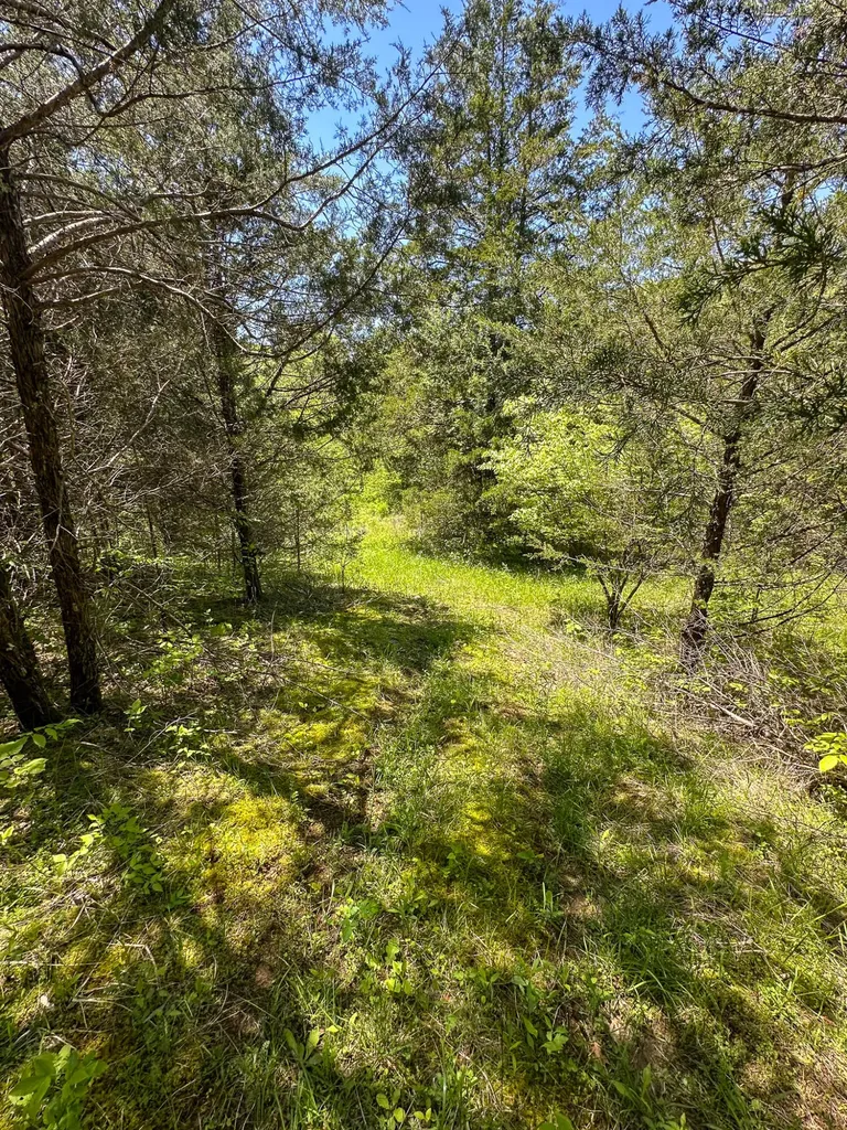 1376 Neave-milford Road Falmouth KY 41040