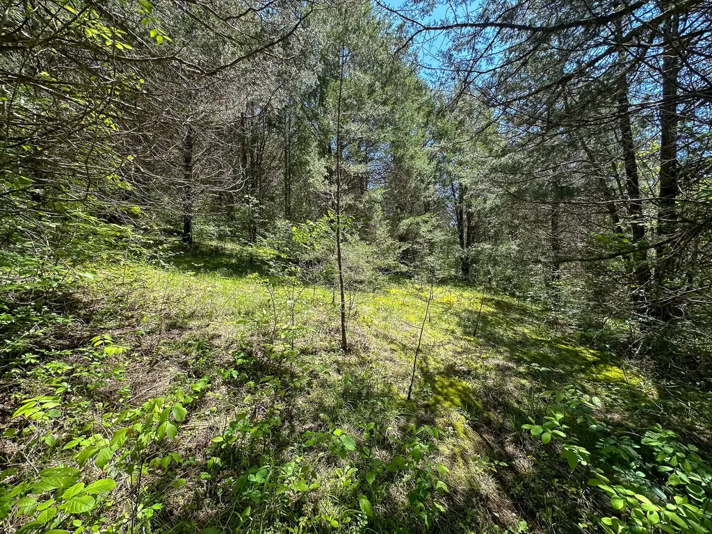 1376 Neave-milford Road Falmouth KY 41040