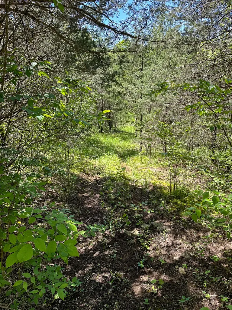 1376 Neave-milford Road Falmouth KY 41040