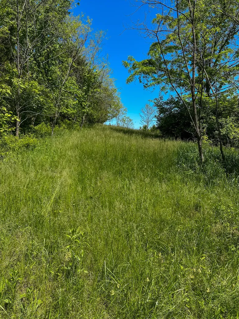 1376 Neave-milford Road Falmouth KY 41040