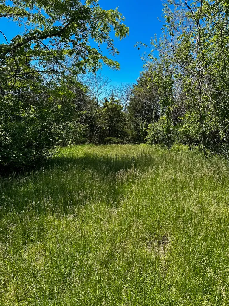 1376 Neave-milford Road Falmouth KY 41040