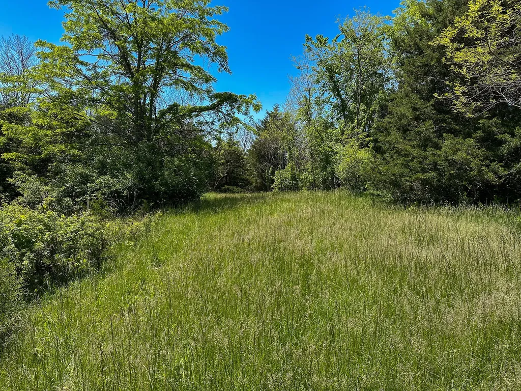 1376 Neave-milford Road Falmouth KY 41040