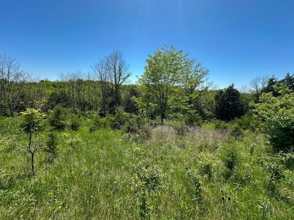 1376 Neave-milford Road Falmouth KY 41040