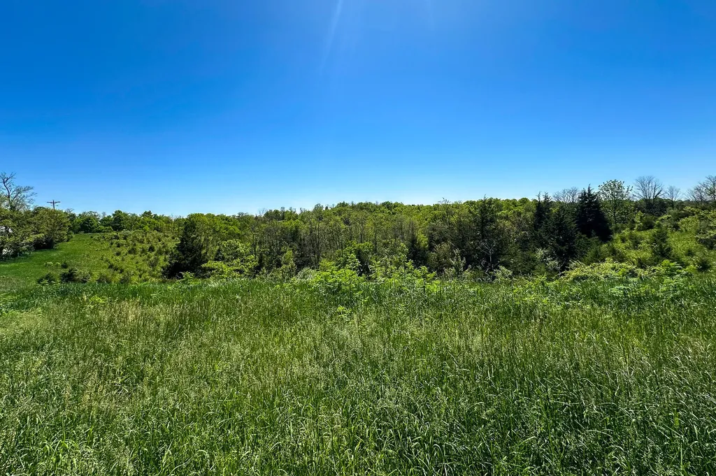 1376 Neave-milford Road Falmouth KY 41040