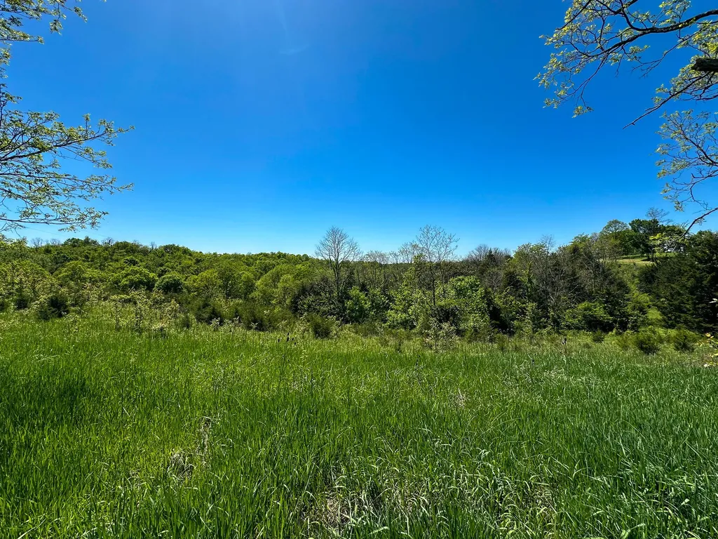 1376 Neave-milford Road Falmouth KY 41040