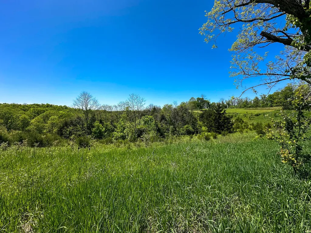 1376 Neave-milford Road Falmouth KY 41040