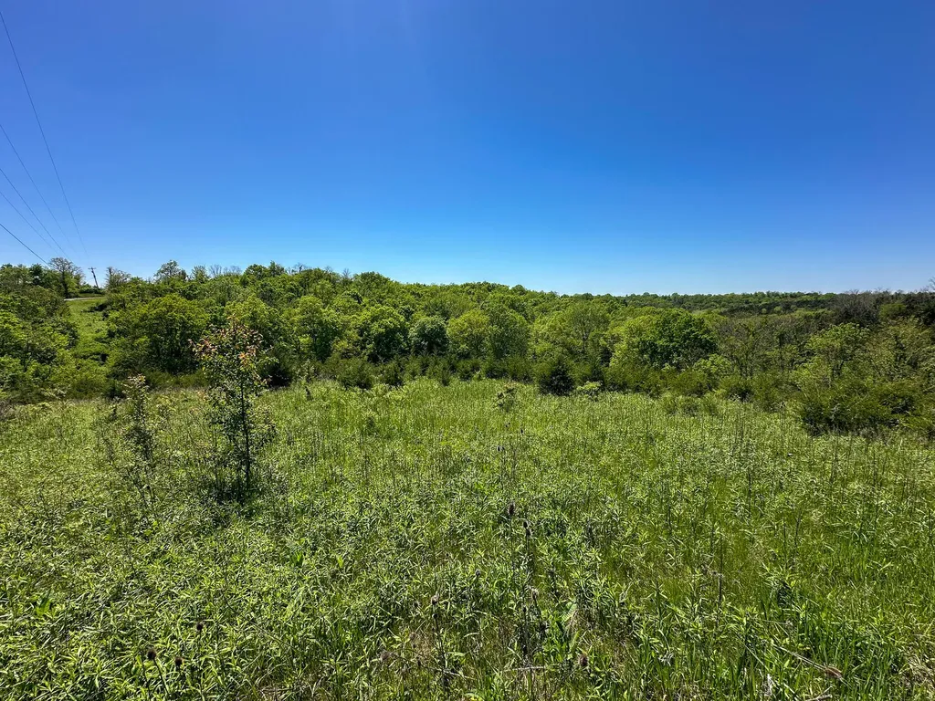 1376 Neave-milford Road Falmouth KY 41040