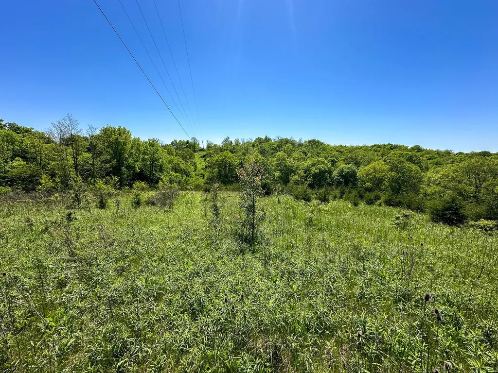 1376 Neave-milford Road Falmouth KY 41040