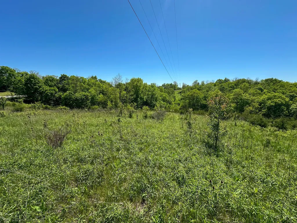 1376 Neave-milford Road Falmouth KY 41040