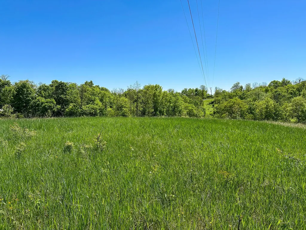 1376 Neave-milford Road Falmouth KY 41040